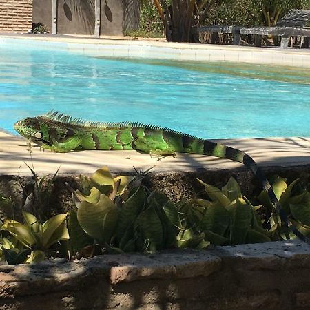 Casa Caicara Villas De Praia Cruz  Dış mekan fotoğraf