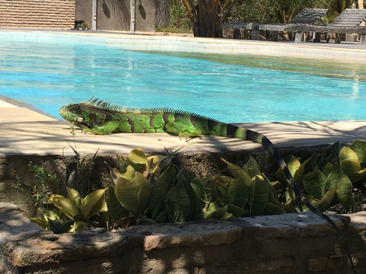 Casa Caicara Villas De Praia Cruz  Dış mekan fotoğraf